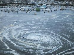 Fukushima: radioactividad muy alta en el fondo marino