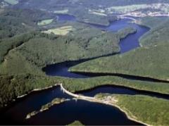 Revelan gran pérdida de árboles en Amazonia brasileña