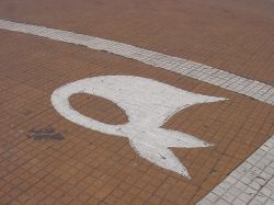 Escándalo Schoklender salpica a organización Madres