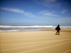 Reciente investigación sobre la evolución de Cabo Polonio