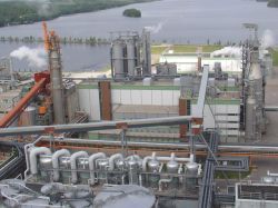 El Comité Científico binacional ingresó a planta UPM