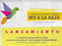 Se lanzó la comisión llamada "No a la Baja"