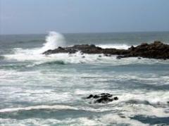 Minerales preciosos podrían estar bajo el Pacífico