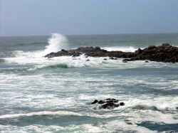 Minerales preciosos podrían estar bajo el Pacífico