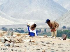 Hallan restos de marsupial gigante de hace 50.000 años