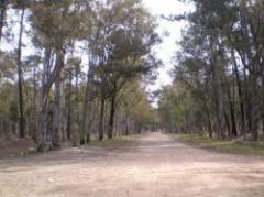 IMC preseleccionó el proyecto de estadio de Peñarol