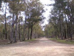 IMC preseleccionó el proyecto de estadio de Peñarol