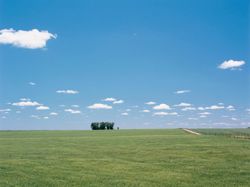 Vuelve debate sobre la extranjerización de la tierra