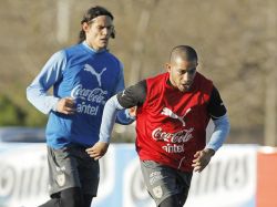 Cavani llega en condiciones de jugar a la final