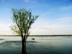 Caudal del río Uruguay crece pero no alarma