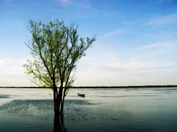 Caudal del río Uruguay crece pero no alarma