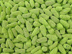 Alemania declaró fin del brote de E.coli