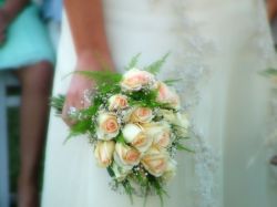 Rechazan que escribanos puedan casar a parejas