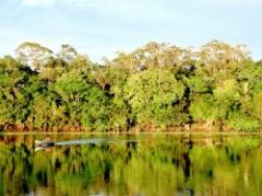 La Amazonia necesita "proceso urgente de descontaminación"