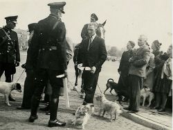 Exponen fotos inéditas de la represión nazi en Holanda