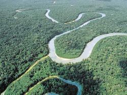 Ecuador apela a la sociedad para salvar a la biodiversidad