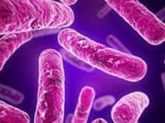 Descienden casos y muertes por tuberculosis en el mundo