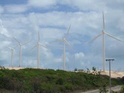 UTE invertirá U$S 360 millones en parques eólicos