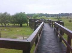 Zoológico de Durazno tiene nuevos habitantes felinos