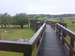 Zoológico de Durazno tiene nuevos habitantes felinos