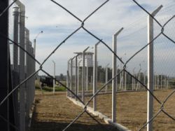 Van 22 liberados tras visita anual de cárceles