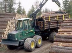 Preparan batería de medidas para sector maderero