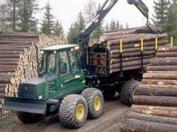 Preparan batería de medidas para sector maderero