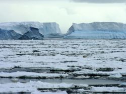 La Antártida da lecciones sobre glaciares y bacterias