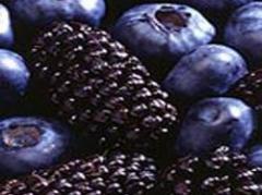 Arándanos: cuestionan "seguridad jurídica" de Uruguay