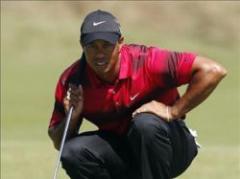 Golf: McIlroy se acerca a Donald y Woods al 'top 20'