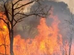 Fuego no está controlado, aún no evacuarán