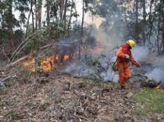 Rocha: el incendio está casi extinguido y controlado