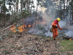 Rocha: el incendio está casi extinguido y controlado