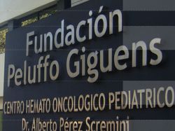 MEC realizó un pedido de informes a la Peluffo Giguens