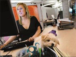 Entra en vigor la nueva política de privacidad de Google