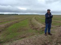 Federación Rural reclama mayores medidas de seguridad