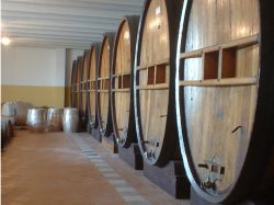 Gobierno brasileño evalúa frenar importación de vino