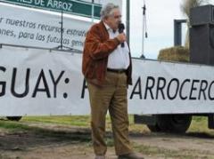 Inauguran zafra de arroz