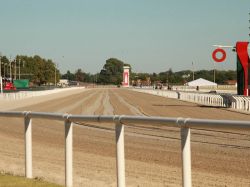 MGAP trabaja en el diagnóstico de la enfermedad equina