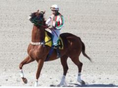 MGAP rehabilitó la actividad turfística en Uruguay