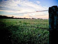 Acciones contra impuesto vinculado a la tierra