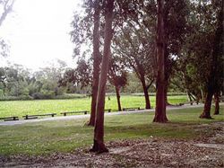 Carrera a beneficio de escuela en el Parque Rivera