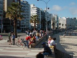 Vuelve la ciclovía a la rambla de Montevideo