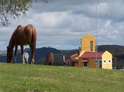 La realidad del turismo rural en Uruguay a través de un caso particular: posada La Salamora