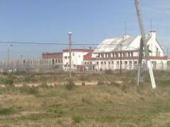 Requisan celulares y pasta base en Penal de Libertad