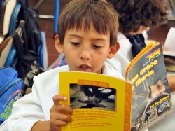 "El libro de este siglo, si es bueno, siempre se abre paso"