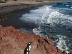 Medidas para ayudar a países frente a desastres climáticos