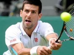 Djokovic le pasó por arriba a Ferrero en Wimbledon