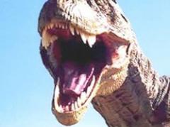 Argentina: descubren nueva especie de dinosaurio carnívoro