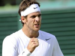 Ferrer y Del Potro a octavos de final de Wimbledon